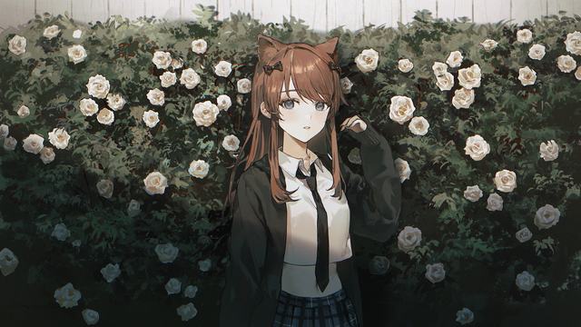 Lanota破解版