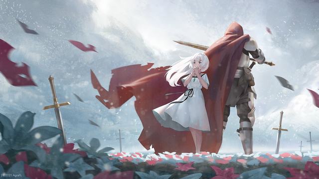 梦之花