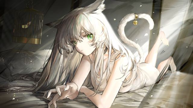 明星志愿星之守护