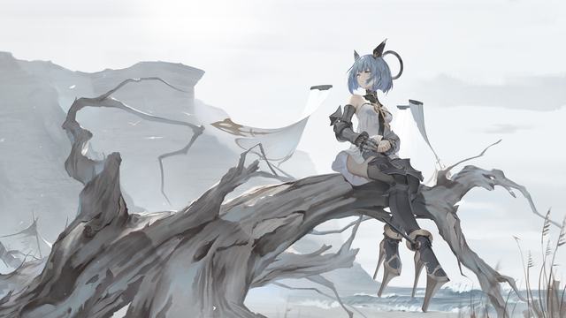 《焦点访谈》 20260603 护一方生灵 泽万物共荣